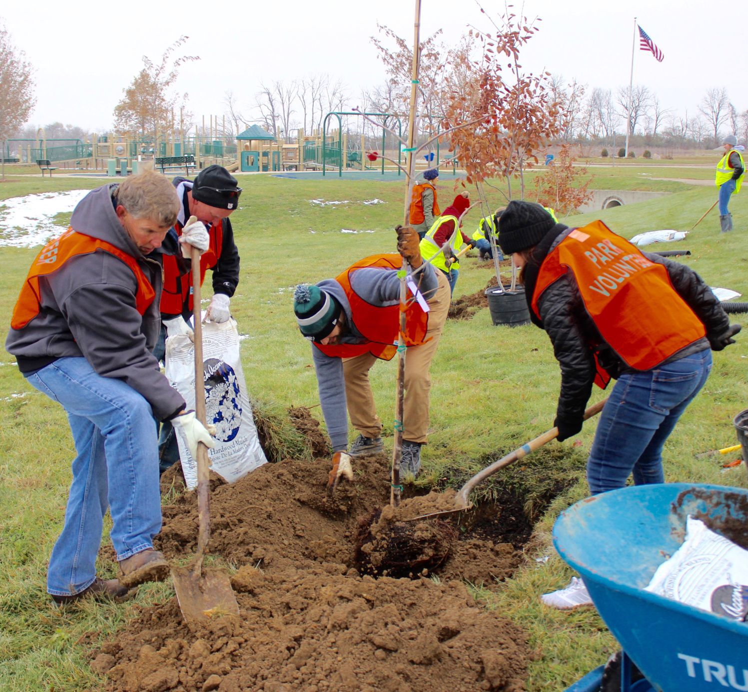 Volunteers come together to plant trees